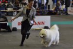 RCACIB Femelle Eurodogshow 2015